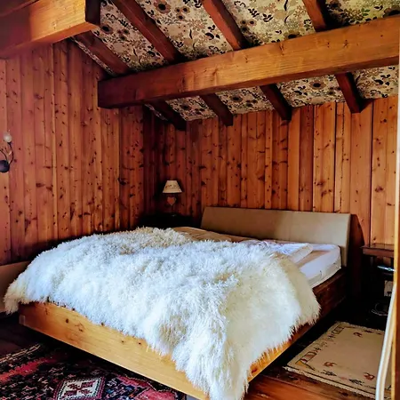 Villa Grosses Fuer Gruppen Und Familien