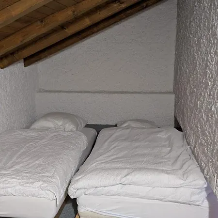 Grosses Fuer Gruppen Und Familien Villa Ovronnaz
